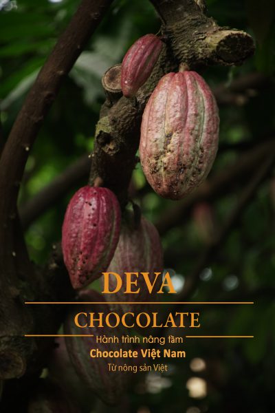 deva chocolate - hành trình nâng tầm chocolate việt nam từ nông sản thuần việt deva chocolate hanh trinh nang tam chocolate viet nam